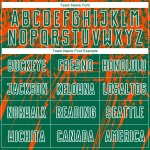 Jersey Kelly Sublimation Custom Orange-Weiß Fußball Grün Uniform Jersey Kelly Sublimation Custom Orange-Weiß Fußball Grün Uniform